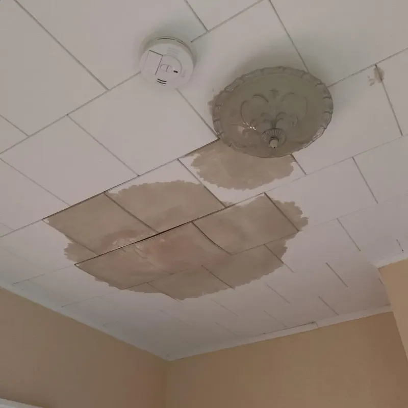 Ceiling Water Damage Repair in North Eagle Butte, SD