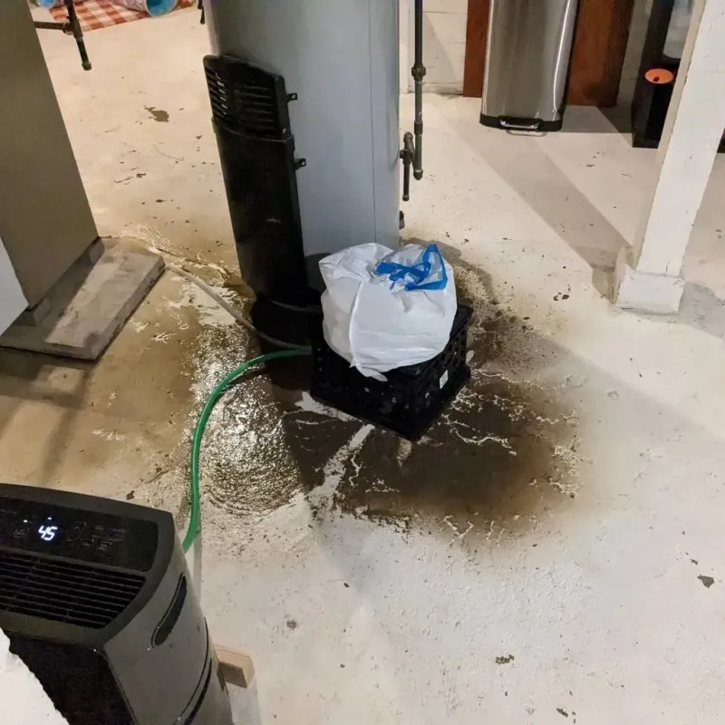 Sewage Backup Cleanup Service in North Eagle Butte, SD